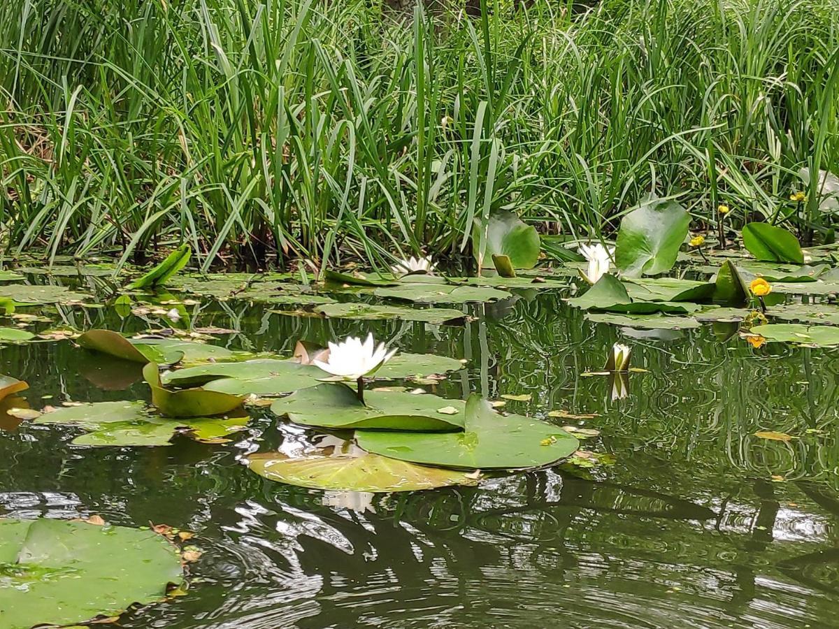 Agroturystyka Chycina Ngoại thất bức ảnh